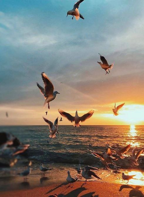 Куда уходит лето?