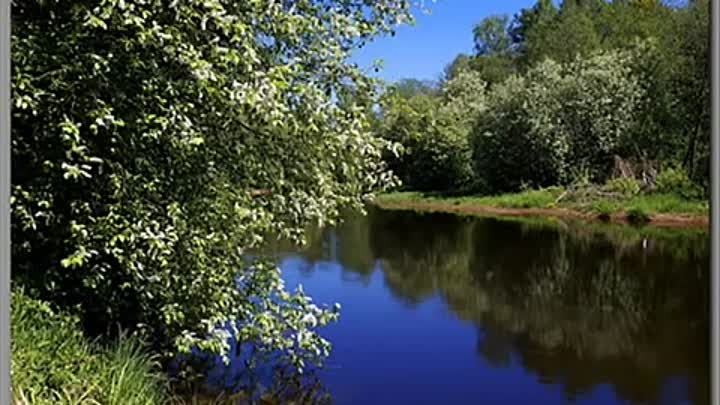 Майская ночь