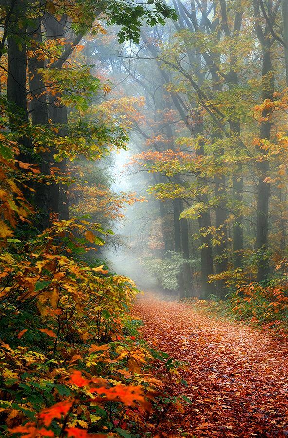 Дыханье Осени...