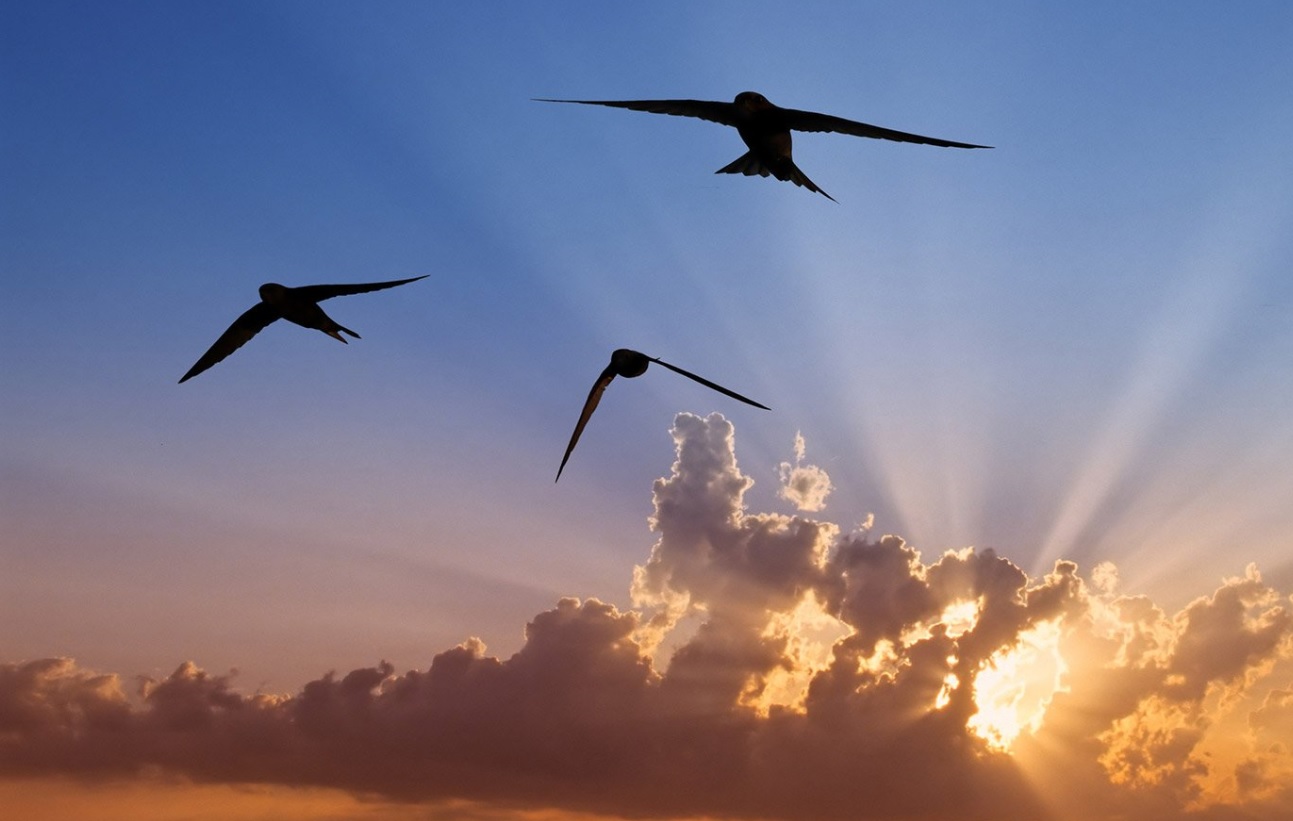 За плечами нежаркое лето...