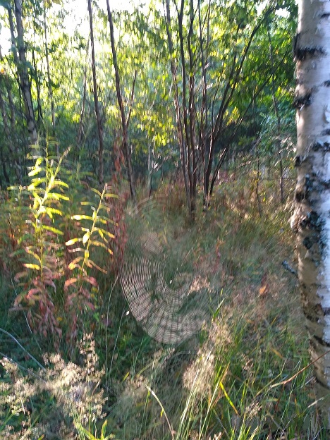 Уходит август