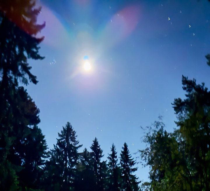 Небесный цветок