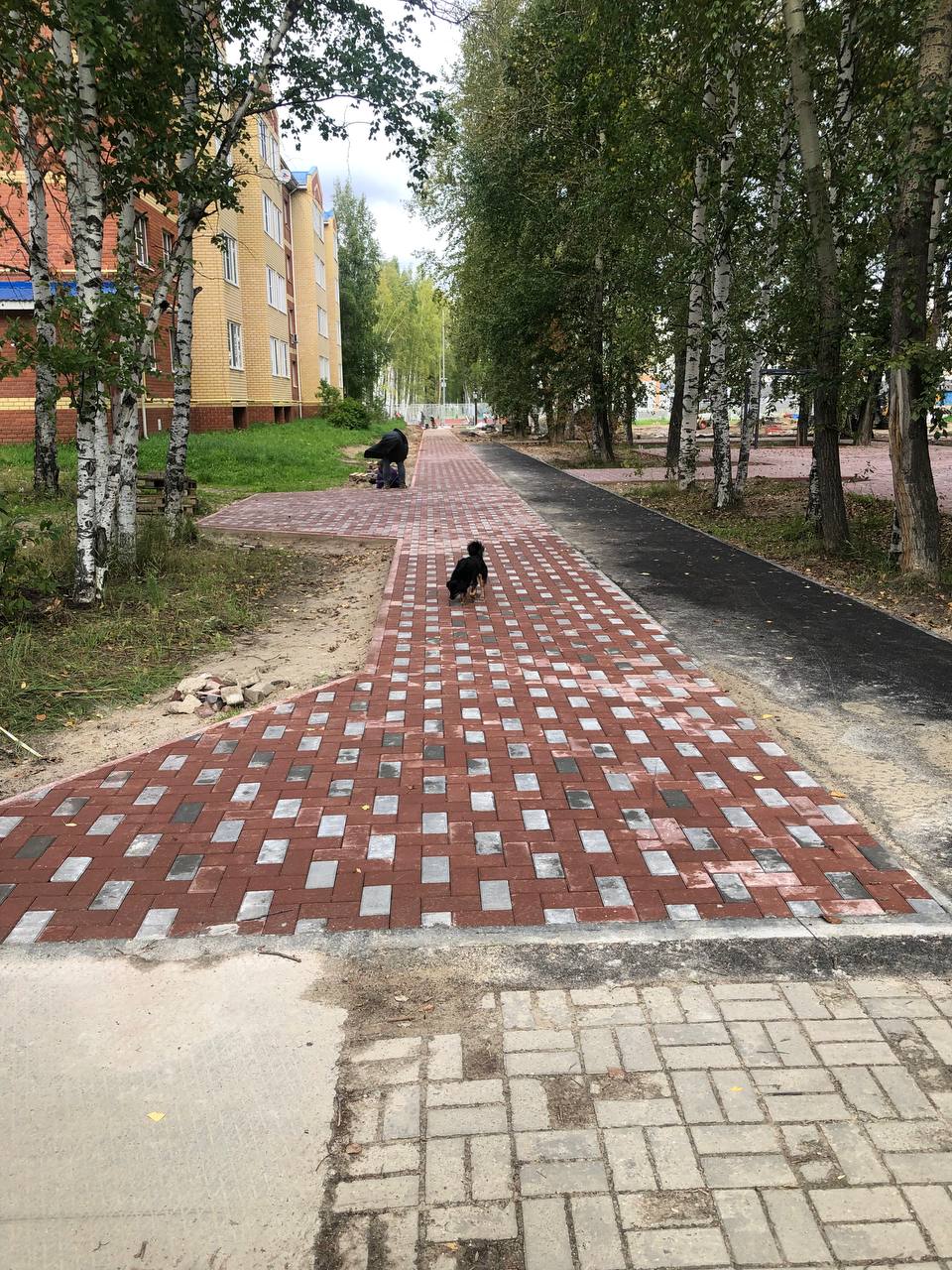 К Новой Школе новая дорожка
