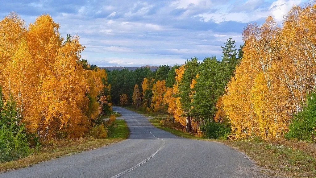 Дорога в Осень...