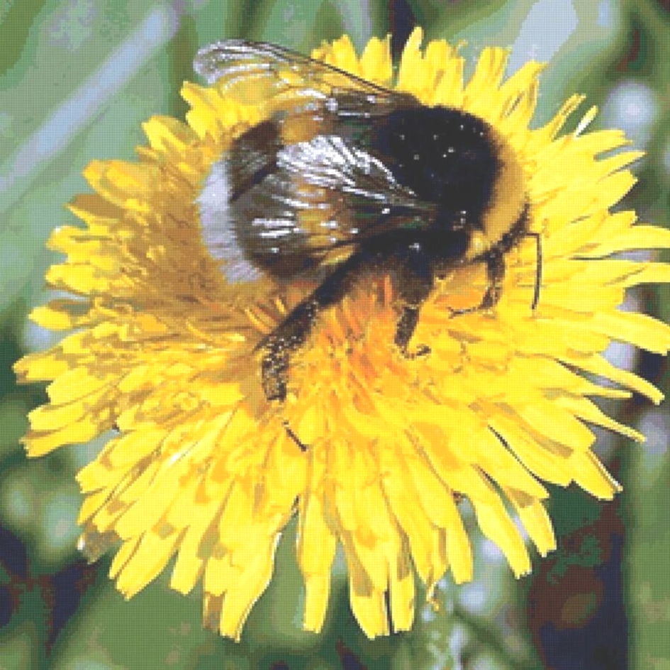 Почти бусоку-секитаи. Под жарким солнцем