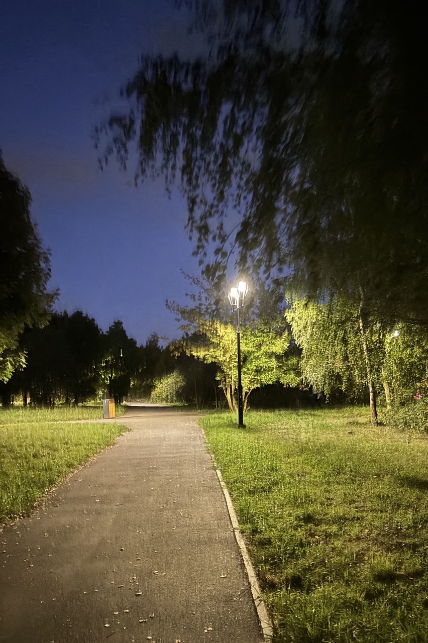 Со мной гуляла тишина