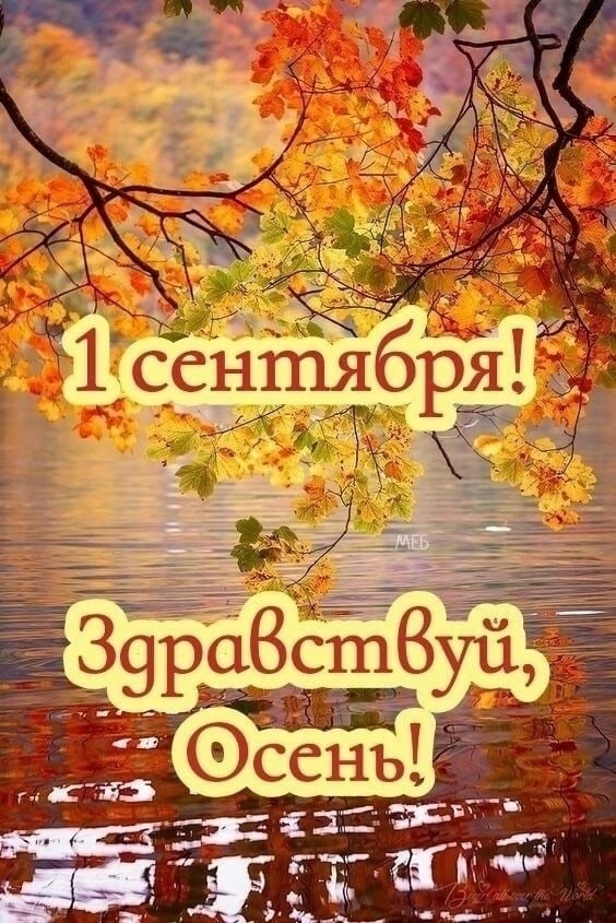 1 сентября