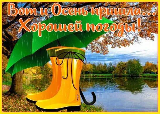 Оркестром птичьим Лето отзвенело