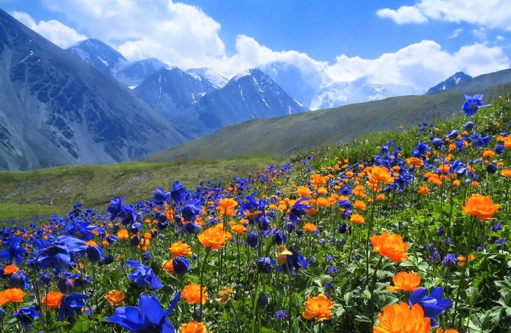 А еще мир прекрасен...