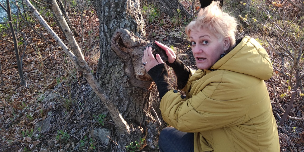 А уши леса мысли слушают мои