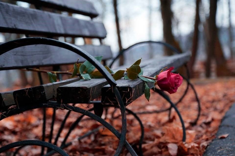 Не отрекаются любя...