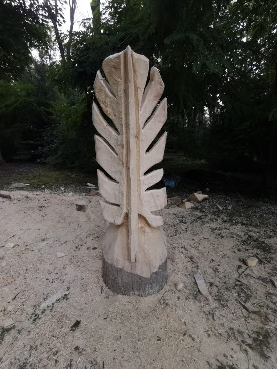 Поэтическое пёрышко