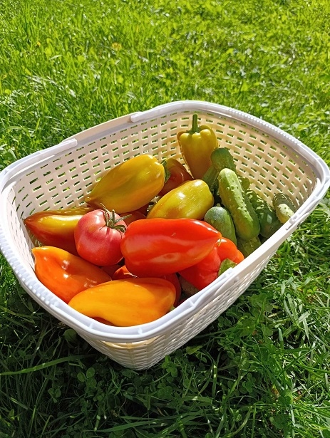 3 сентября. Вслух о своём...