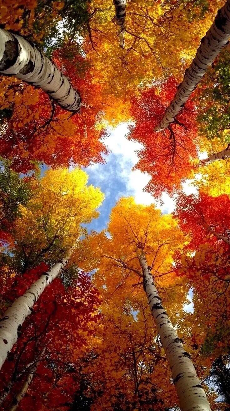 Моей любимой тете