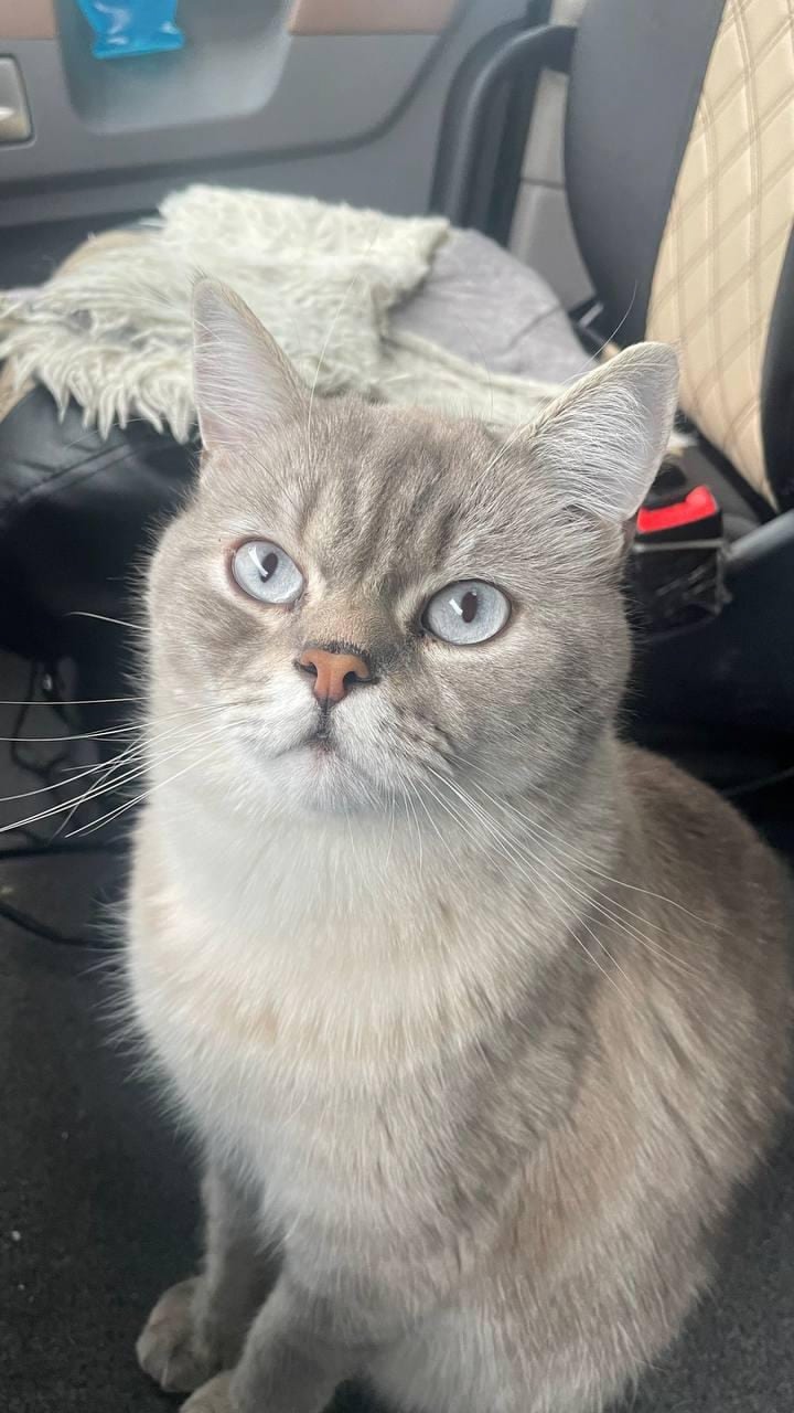 День рождения Евушки