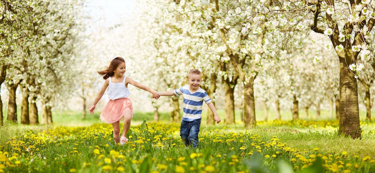 Где-то на планете Богов