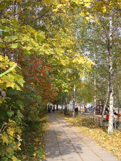 Осеннее