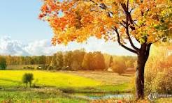 Сентябрь пришёл неторопливо...