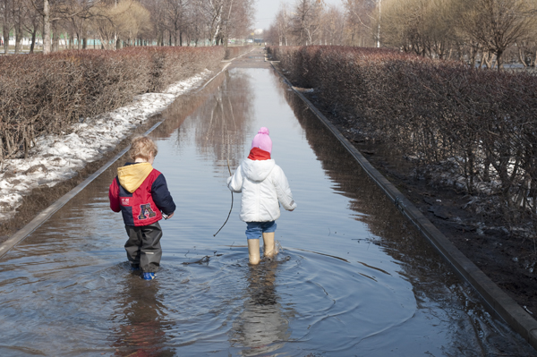 Да в землю ушло