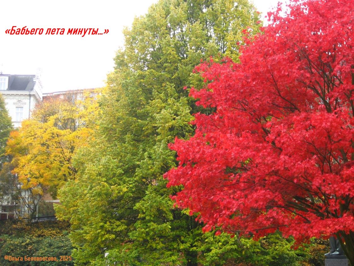 Бабьего лета минуты...