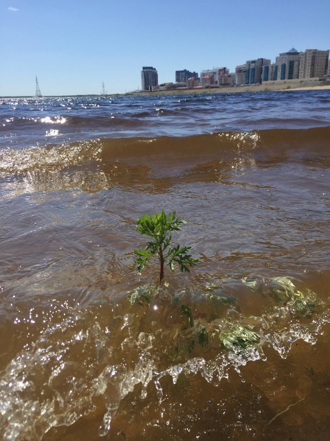 В Якутии все дни