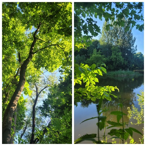 Созерцание. Хокку