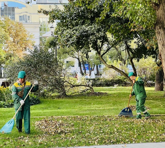 Мини-конкурс Вянет лист. Проходит лето
