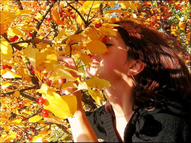 Найдётся в осени для сердца радость