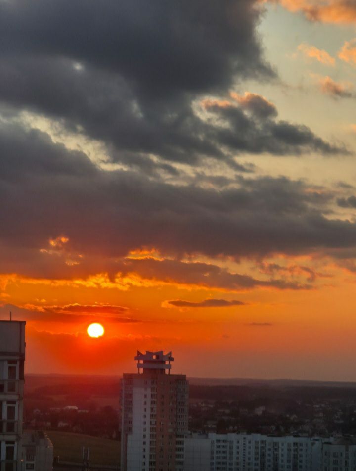 Закусив тоской зелёною...