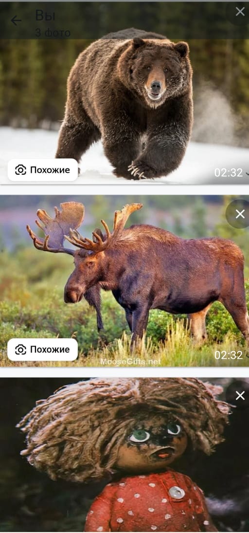 Лосиноостровск, Медведково, Кузьминки