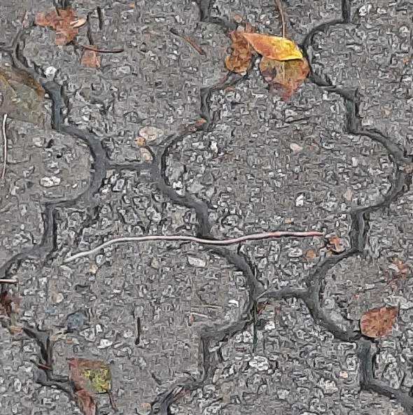 Дождь, улица, червяк, аптека