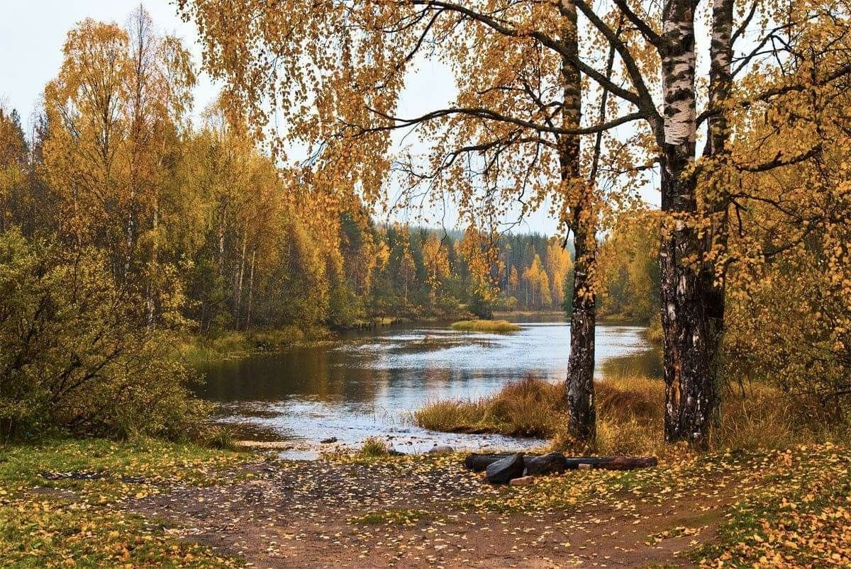 Осень кружит