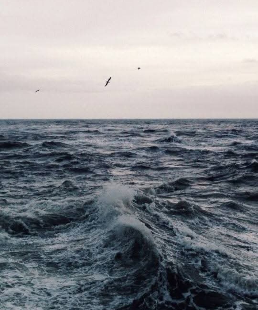 недосягаемое море, или ответ Бродскому