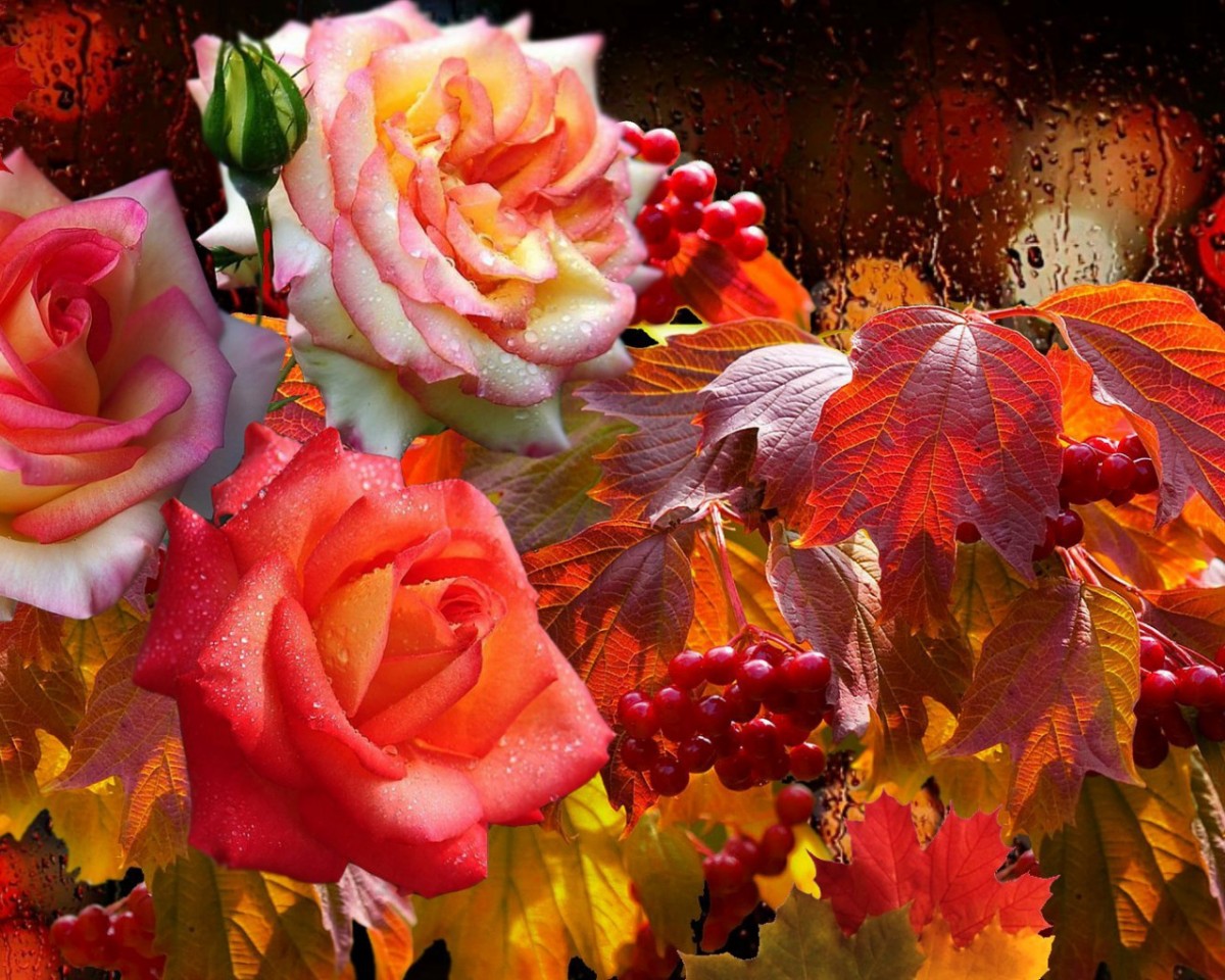 Вот и любви настал закат