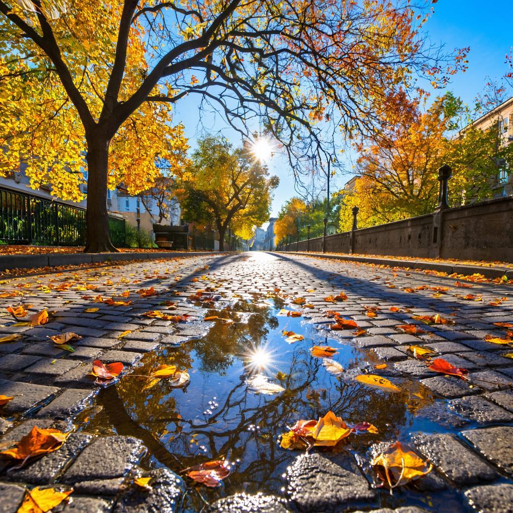 Осеннее утро