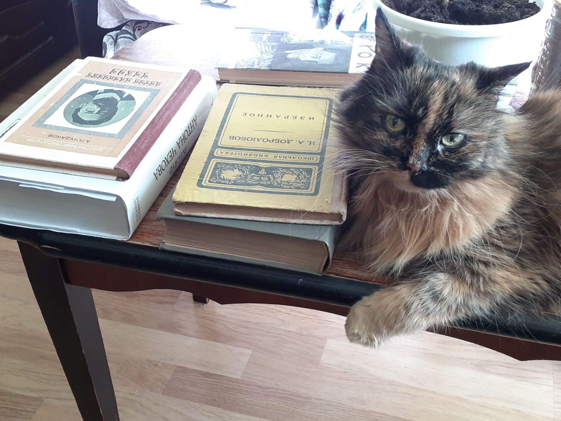 Хозяйка дома