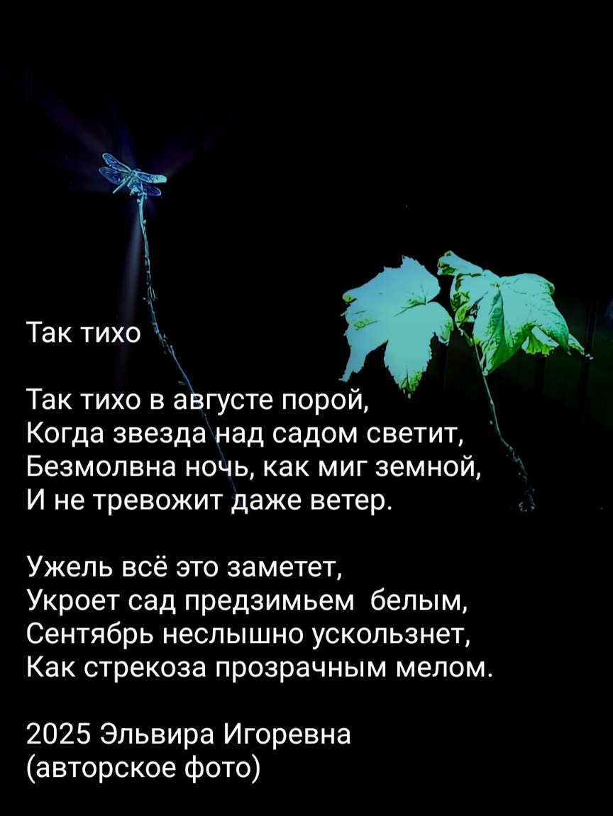 Так тихо