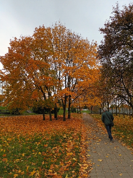 Дальше пойдём вдвоём,