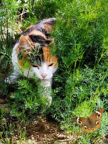 Мой непоседа