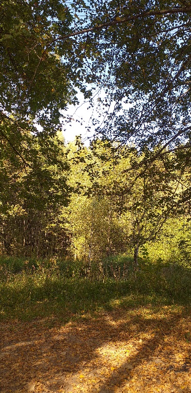 Осень