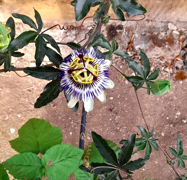 3. 1. Когда жаль одежду, а не Человека!