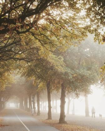 Stockholm - сентябрь 2025. 3