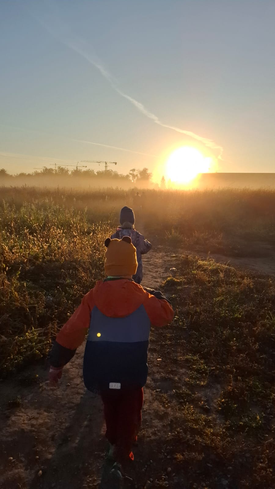 Прекрасный мир