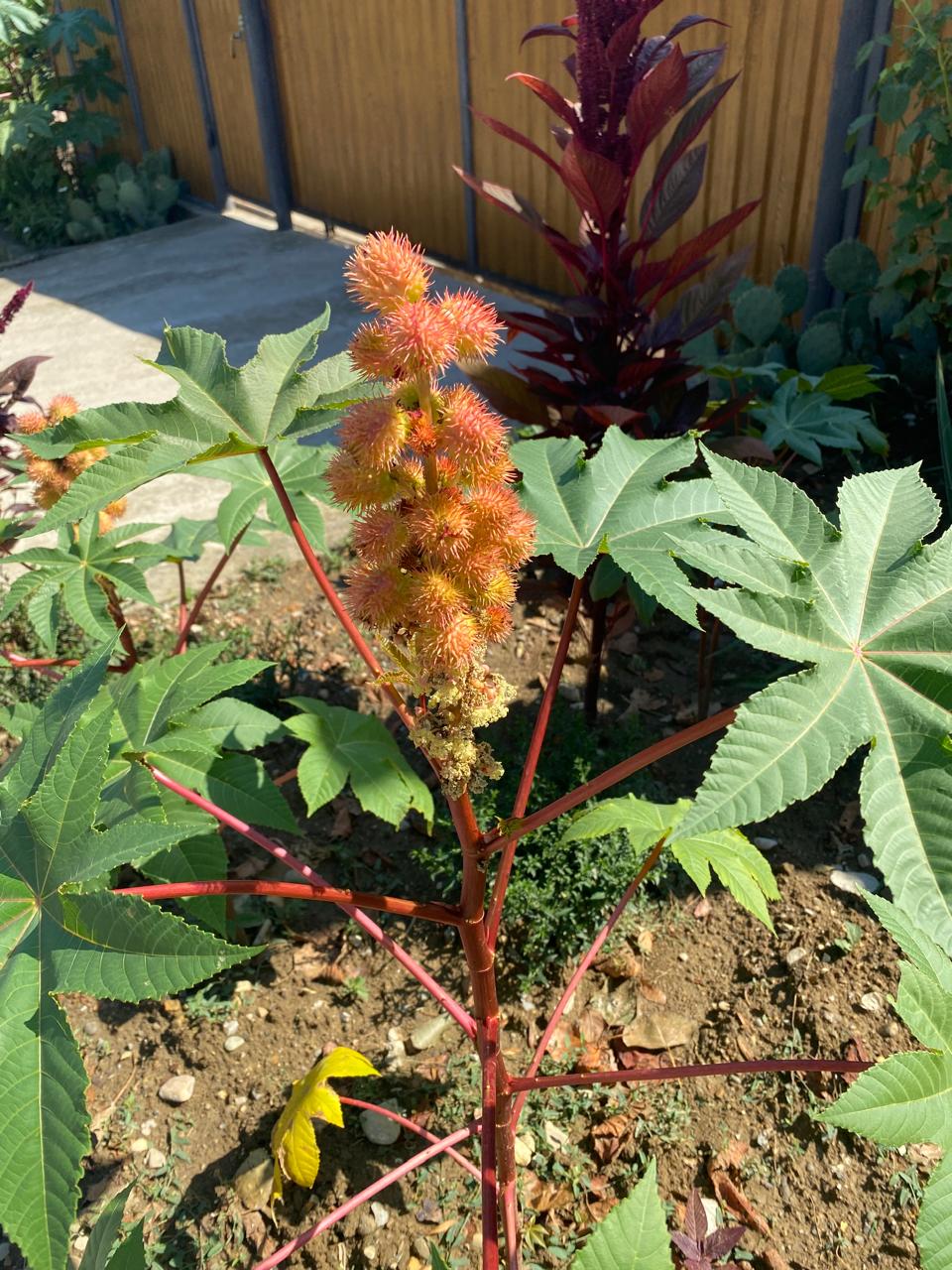 Игра теней при свете тусклой лампы