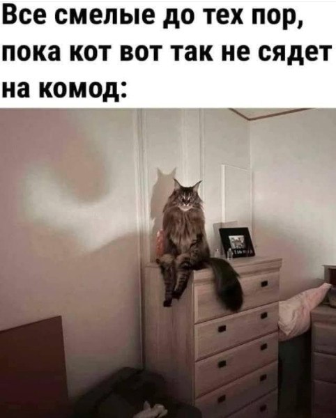 Из Мичуринца в Мурлыкана...
