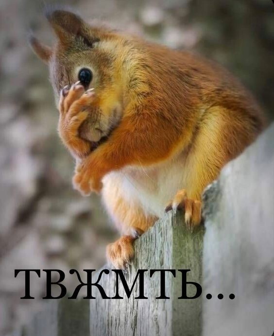 Вот, что бывает, когда ты идёшь с похмелья