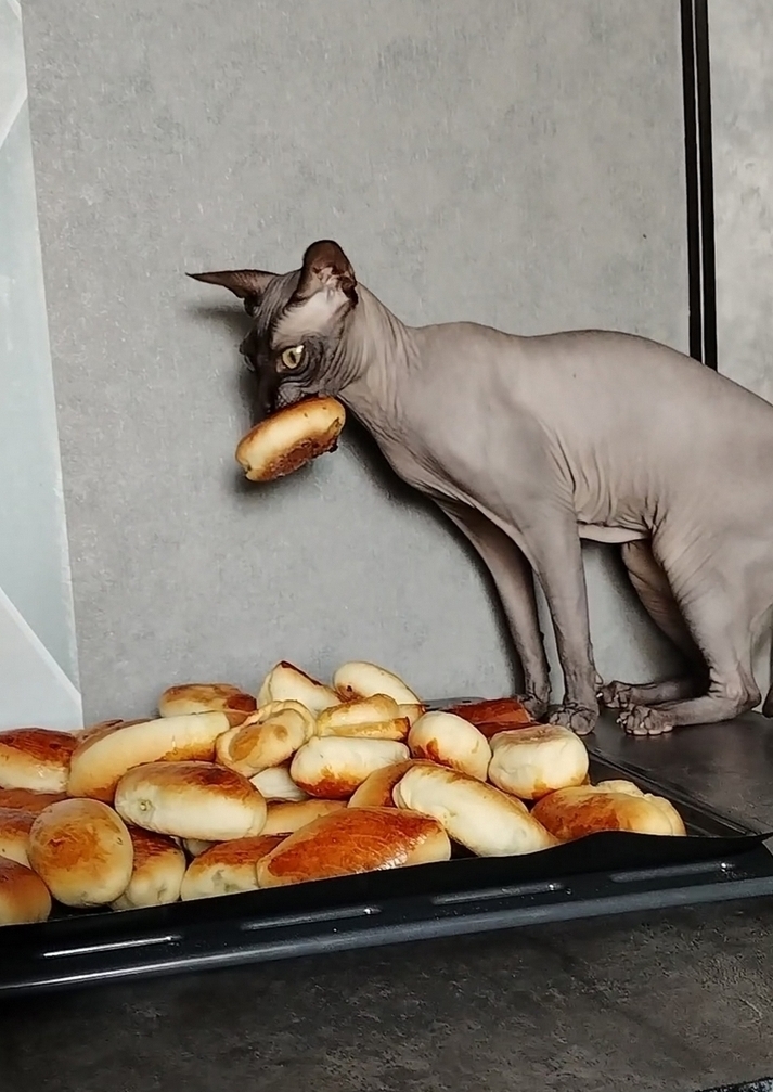 настроение дня 29