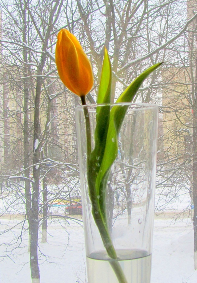 Что такое жить одной?