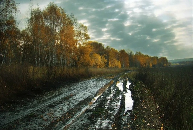 Промокшие стихи