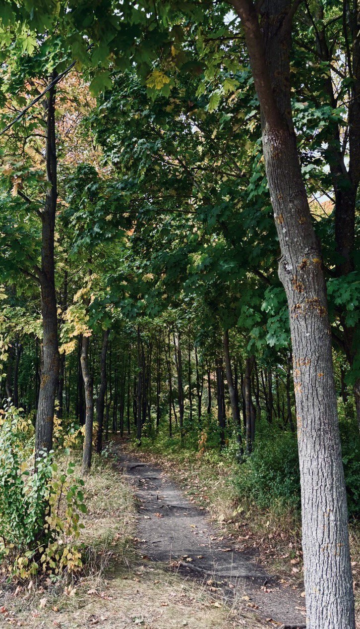 Стихи-тропиночки любви